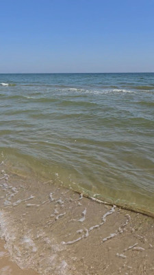 Продаж земельної ділянки 0.1 соток на Кинаповец, 1303 Затока - фото 7