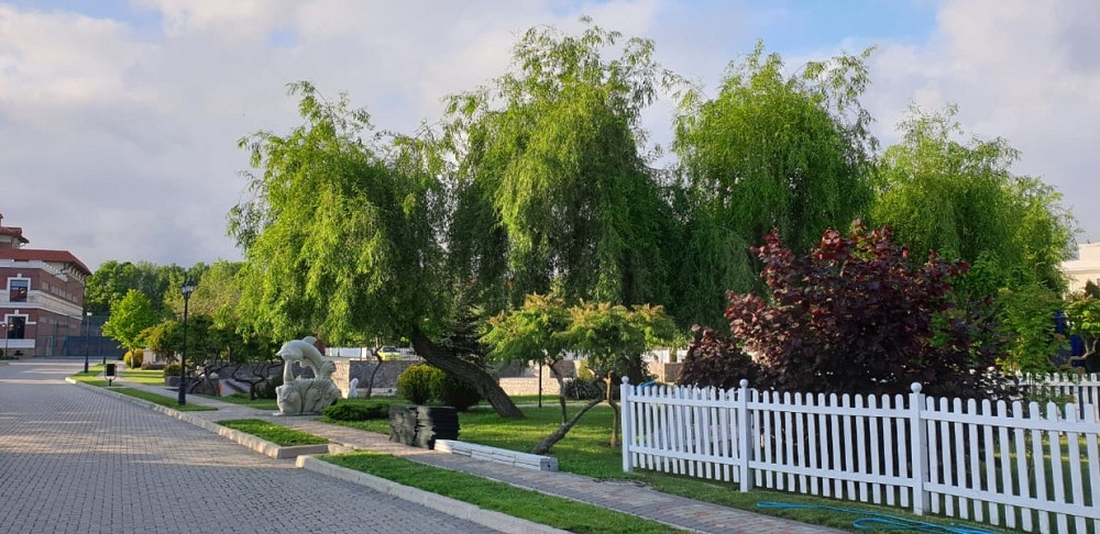 Продаж Будинок на вул. Затишна Chornomors'ke - photo 3