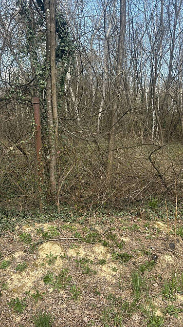 Продаж земельної ділянки 5 соток  - фото 2