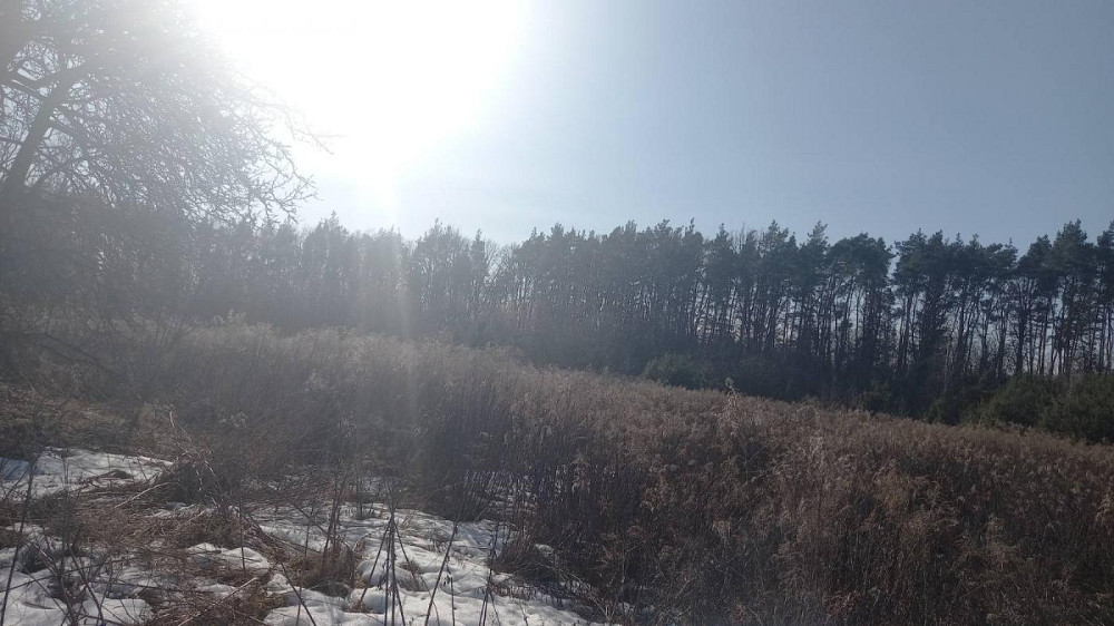 Продаж земельної ділянки 21 соток Клевань - фото 5