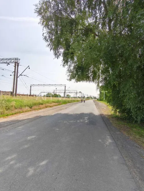 Продаж земельної ділянки Будівництво та експлуатація виробничих підприємств площа 115 сот Берег Чоп - фото 3