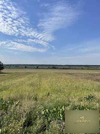 Продаж земельної ділянки 14 соток на вул. Центральна Zdolbuniv