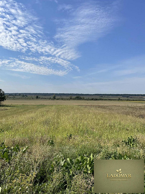 Продаж земельної ділянки 14 соток на вул. Центральна Zdolbuniv - photo 5