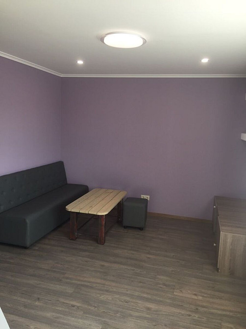 Оренда Квартира 1-кімнатна, 2/3 поверх на Садовая ул., 191 Киев - изображение 2