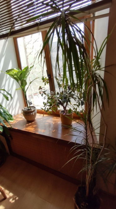 Продам двухкомнатную квартиру, Жуковского / Канатная, исторический центр города Odessa - photo 15