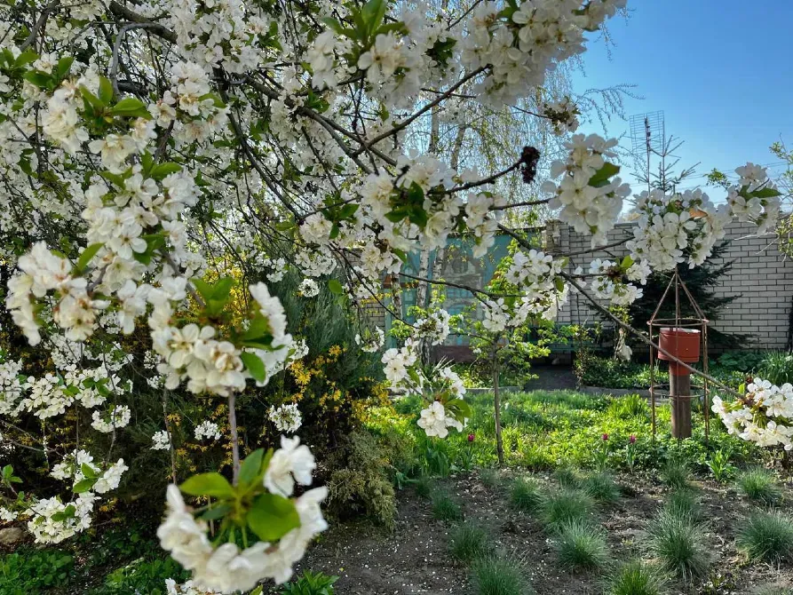 Продаж 2-поверховий Будинок з ділянкою 5.5 сот 288.8 кв.м 4 кімн. на вул. Аеродромна Дніпро - фото 12