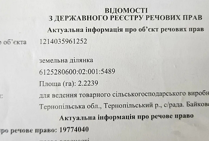 Продаж земельної ділянки сільськогосподарського призначення, площа 2.2239 Га Байківці - фото 3