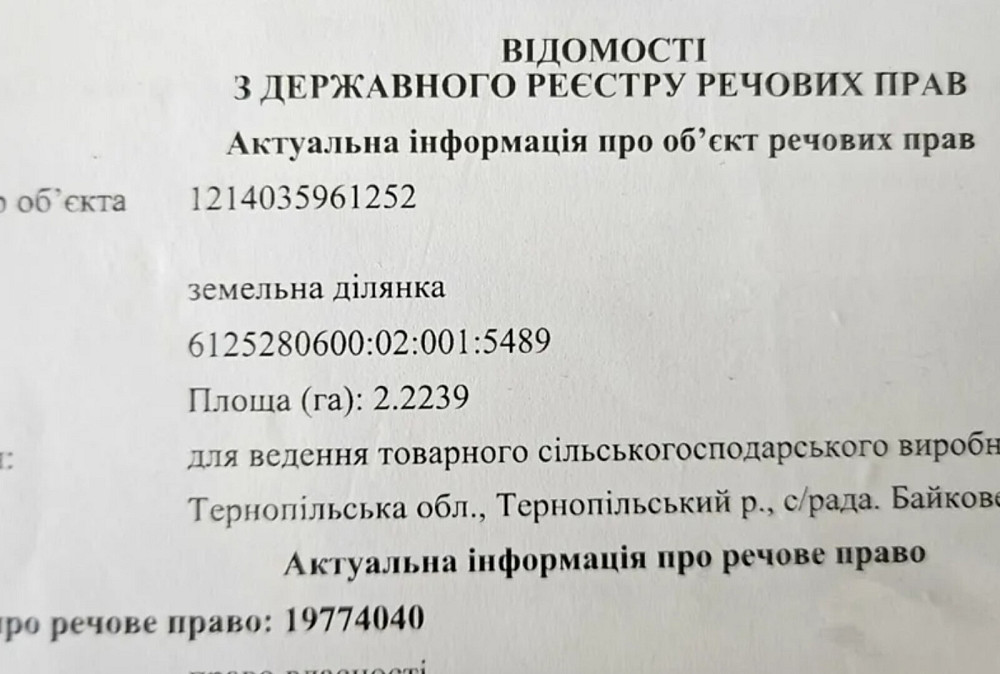 Продаж земельної ділянки 2.22 га Байківці - фото 3