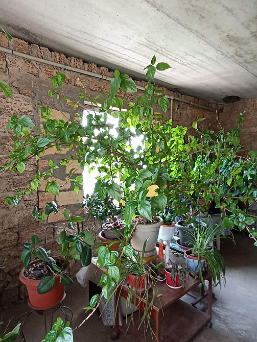 Продам дом в Фонтанке. Фонтанка - фото 18