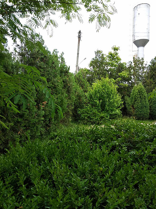 Вилла 200м от моря у моря в Курортном Курортне - фото 9