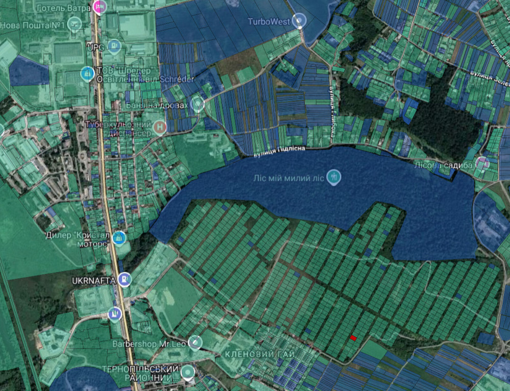 Продаж земельної ділянки 6 соток на вул. Микулинецька Тернопіль - фото 8