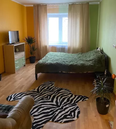 Оренда Квартира 1-кімнатна, 17/22 поверх на Пчелки Елены ул., 2б Київ