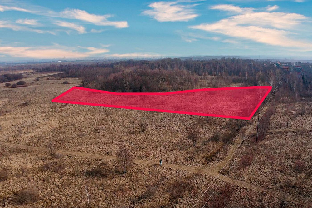 Продаж земельної ділянки 86 соток Солонка - фото 1