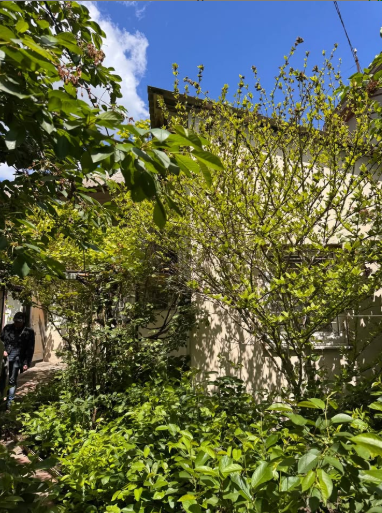 Продам дом на Даче Ковалевского (участок 3 сотки) Одеса - фото 14