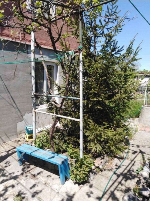 СРОЧНО!!! Продам дом зимнего типа на берегу лимана (Новодофиновские дачи) Нова Дофінівка - фото 8