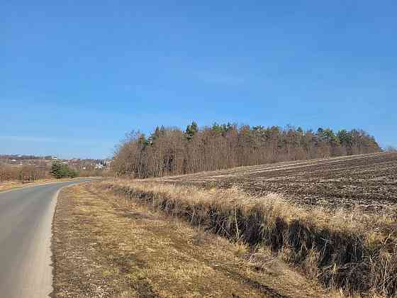 Продаж земельної ділянки 3.76 га Kolodiivka