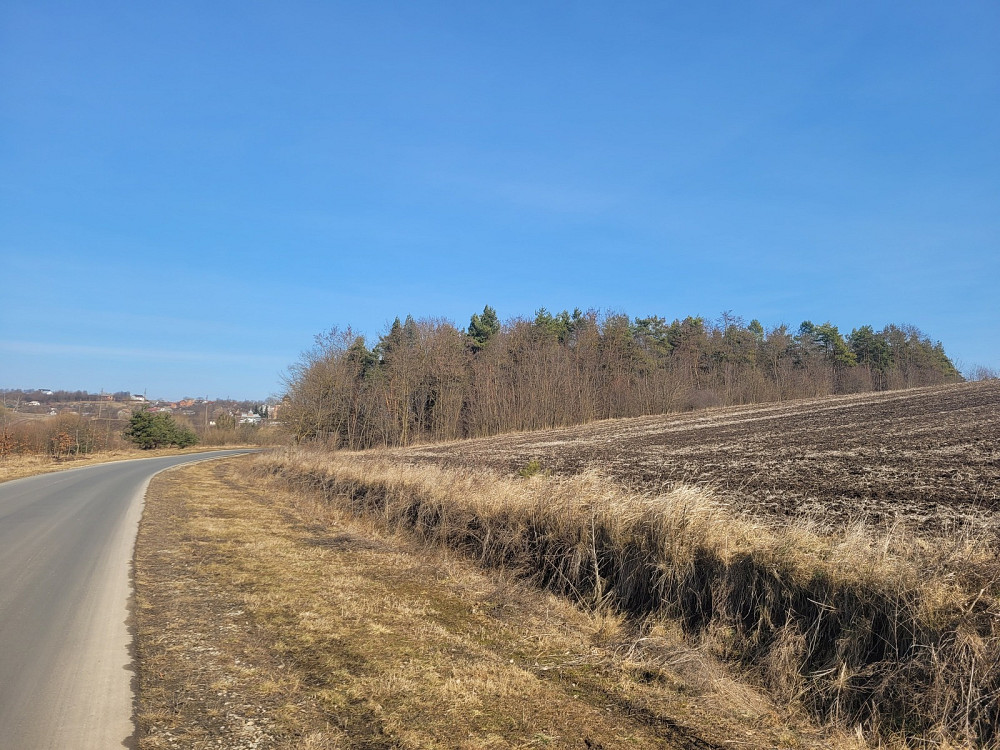 Продаж земельної ділянки 3.76 га Kolodiivka - photo 2