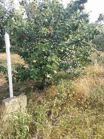 Продам участок с домиком в селе Малое Мале