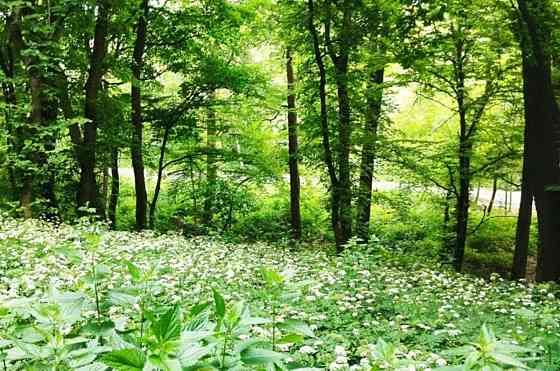 Продаж земельної ділянки 10 соток на Лисогірський узвіз Kiev