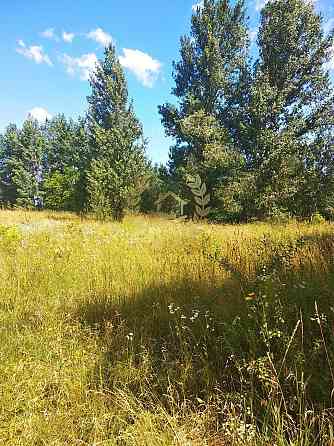 Продаж земельної ділянки 23 соток на Полевая ул., 6 Ustymivka