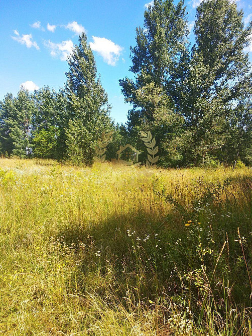 Продаж земельної ділянки 23 соток на Полевая ул., 6 Ustymivka - photo 2