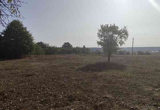 Продаж земельної ділянки 36 соток на Левків Житомир