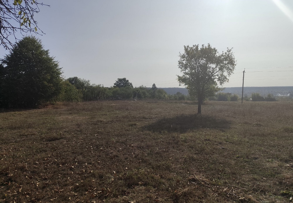 Продаж земельної ділянки 36 соток на Левків Житомир - изображение 1