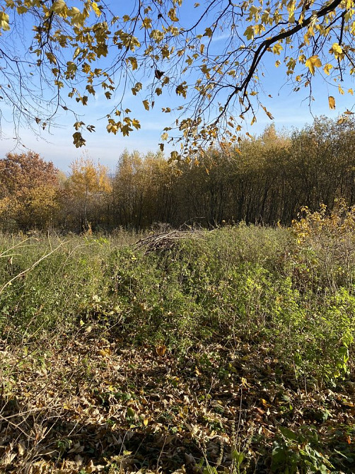 Продаж земельної ділянки 13 соток на вул. Садова  - фото 1