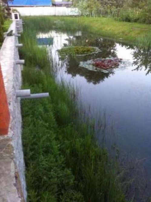 Продаж 2-поверховий Будинок з ділянкою 10 сот 242 кв.м  на Зеленая Бориспіль - фото 9