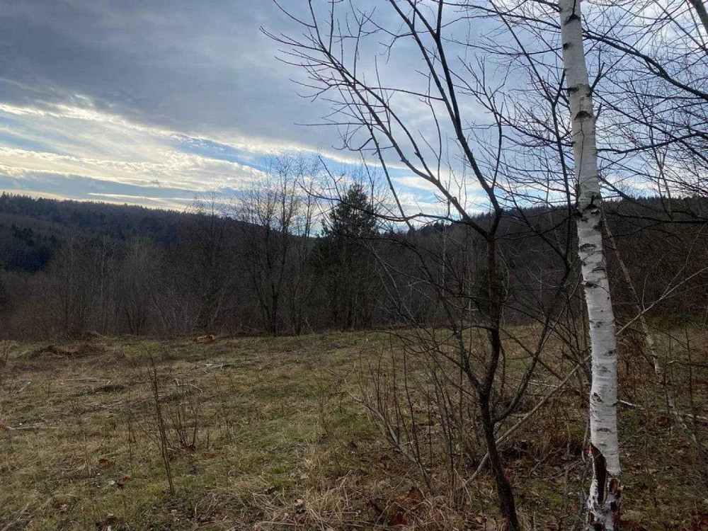 Продаж земельної ділянки 8 соток на вул. Степана Бандери Борислав - фото 2