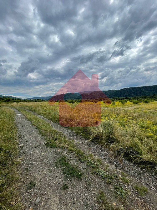 Продаж земельної ділянки 0 соток на Невицьке  - photo 4