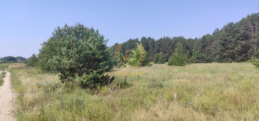 Продаж земельної ділянки 20 соток на Садовая ул., 52 Yasnohorodka (Vyshhorodskyi raion) - photo 2