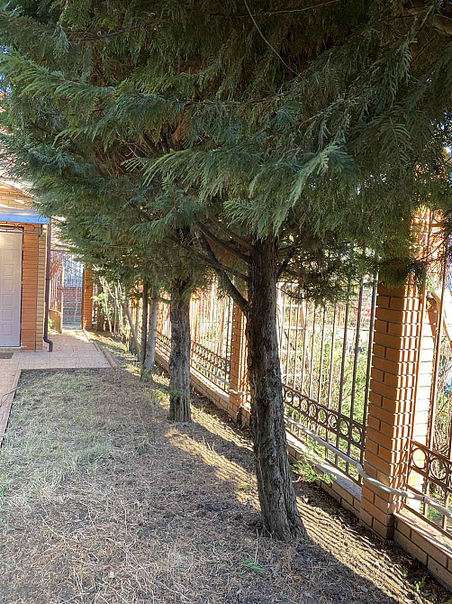 Дом в Элитном Кооперативе на 10 Станции Большого Фонтана Одеса - фото 11