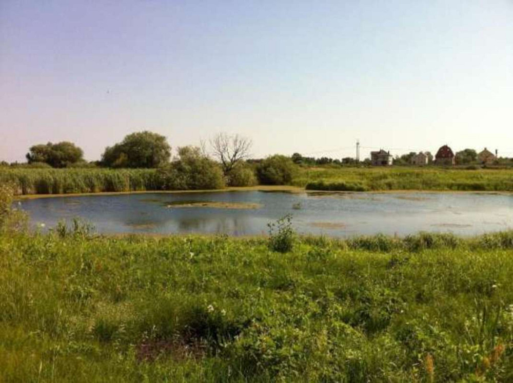 Продаж земельної ділянки 1 га Київ - фото 1