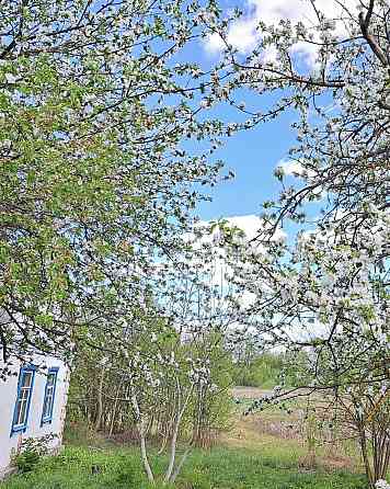 Продаж земельної ділянки 25 соток на Кмитів Житомир