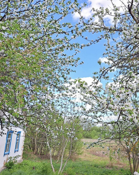 Продаж земельної ділянки 25 соток на Кмитів Zhytomyr - photo 2