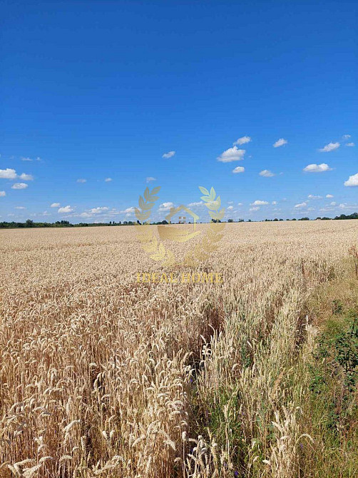 Продаж земельної ділянки 2.32 соток на Горная ул.  - фото 1