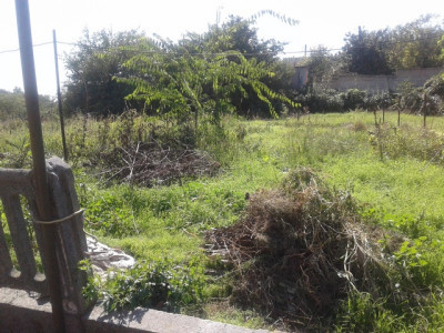 Продаж земельної ділянки 6 соток на ул. Сиреневая, 558 Протопопівка - фото 2