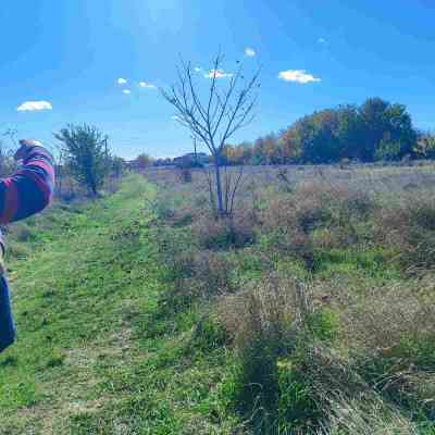 Продаж земельної ділянки 3.88 соток на ул. Макова, 21 Odessa