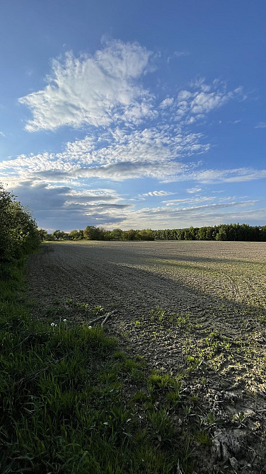 Продаж земельної ділянки 1 га Угринів - фото 2