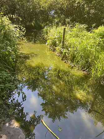 Продаж Будинок на Рибаче 