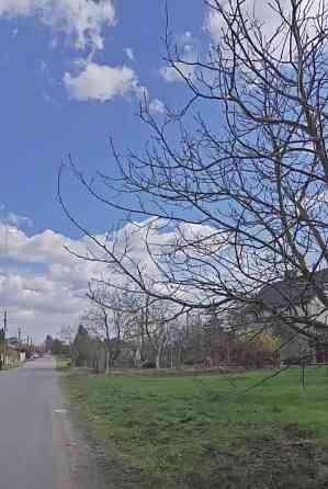 Продаж земельної ділянки 21 соток на вул. Чеська Велика Омеляна