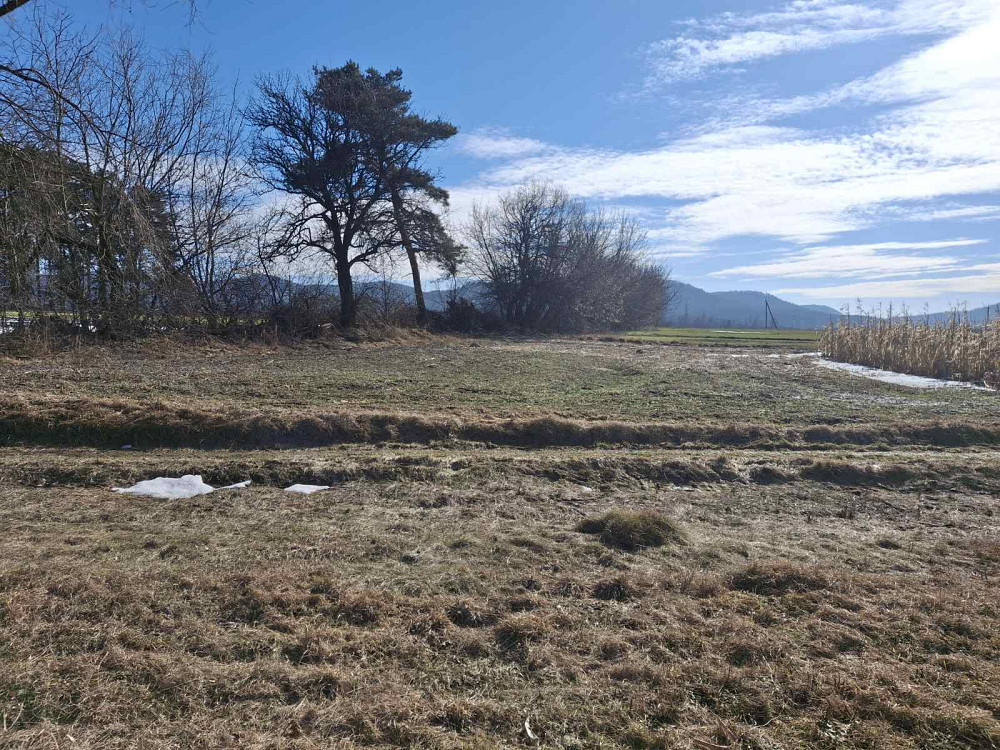 Продаж земельної ділянки 11 соток на Надрічна  - фото 4