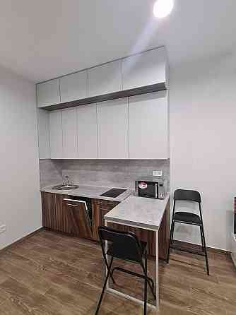 Оренда Квартира 1-кімнатна, 1/7 поверх на вул. Сергія Колоса, 3 Киев