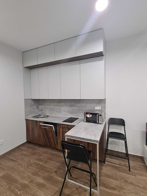 Оренда Квартира 1-кімнатна, 1/7 поверх на вул. Сергія Колоса, 3 Київ - фото 6