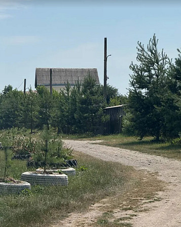 Продаж земельної ділянки під житлову забудову, площа 0.083 Га Великая Березовица - изображение 3