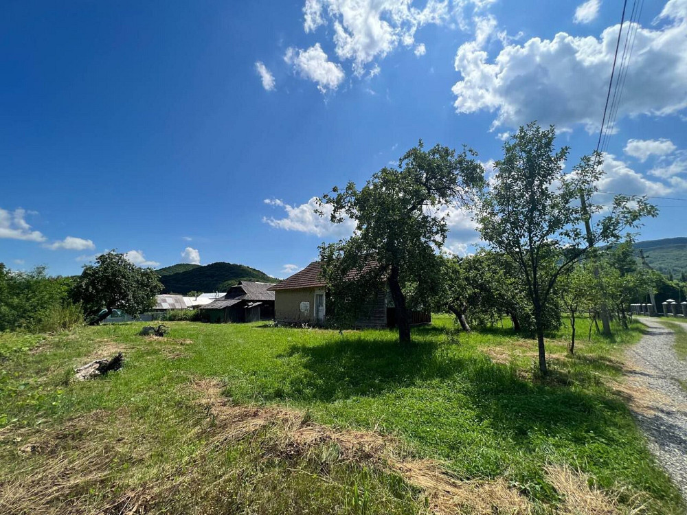 Продаж земельної ділянки 30 соток  - photo 5