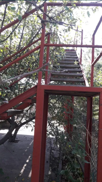 Продам дом-дачу в Новой Дофиновке Нова Дофінівка - фото 8