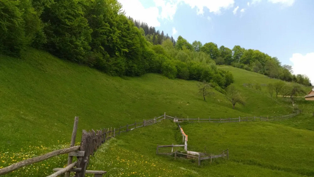 Продаж Будинок Болехів - фото 18