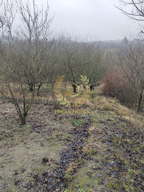 Продаж Будинок 3-кімнатний Гвоздів - фото 8